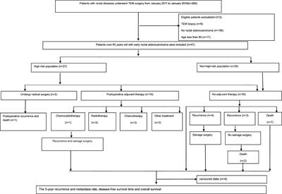 Prognosis of Patients Over 60 Years Old With Early Rectal Cancer Undergoing Transanal Endoscopic Microsurgery – A Single-Center Experience